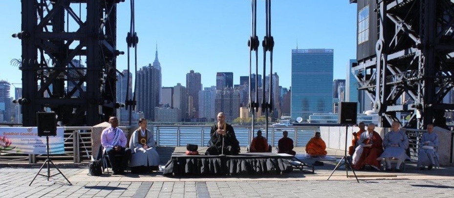 Proactive Peace Action Programs